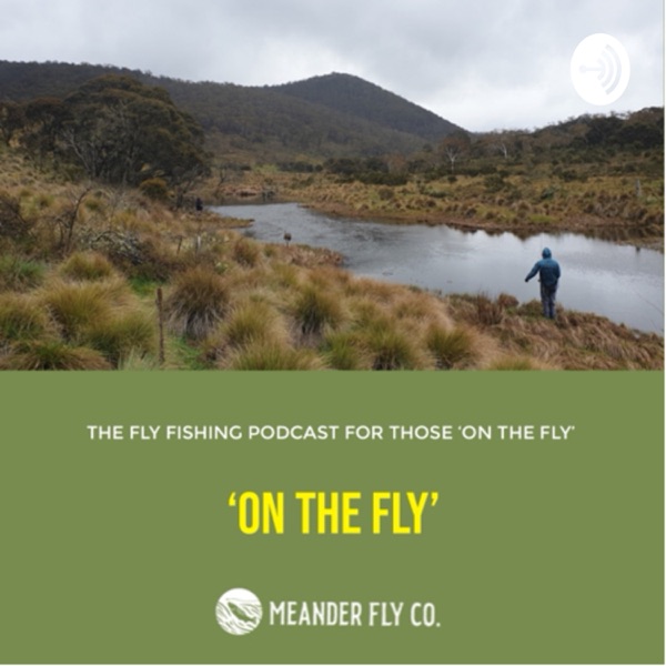 On The Fly
