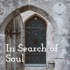 In Search of Soul artwork