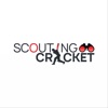 Scouting Cricket artwork