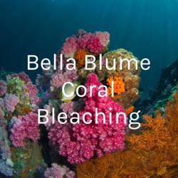 Bella Blume Coral Bleaching