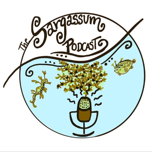 The Sargassum Podcast Artwork