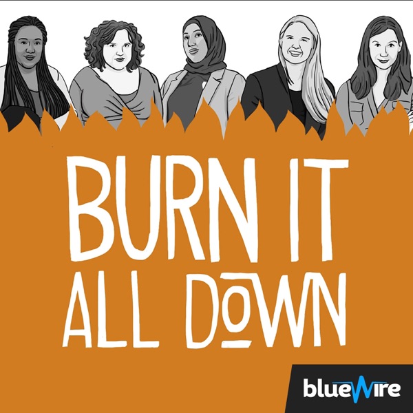 Burn It All Down poster