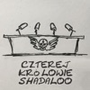 Czterej Królowie Shadaloo artwork