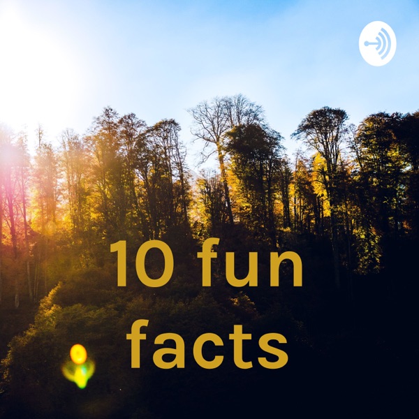 10 fun facts Artwork