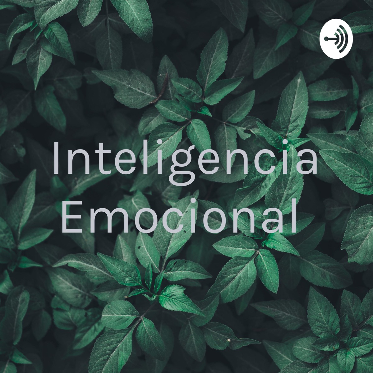 Inteligencia Emocional Podcast Podtail