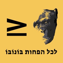 המטבעות החדשים