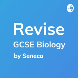 GCSE Biology - Types of Cells