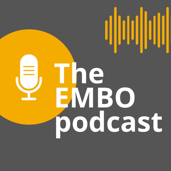 The EMBO podcast Artwork