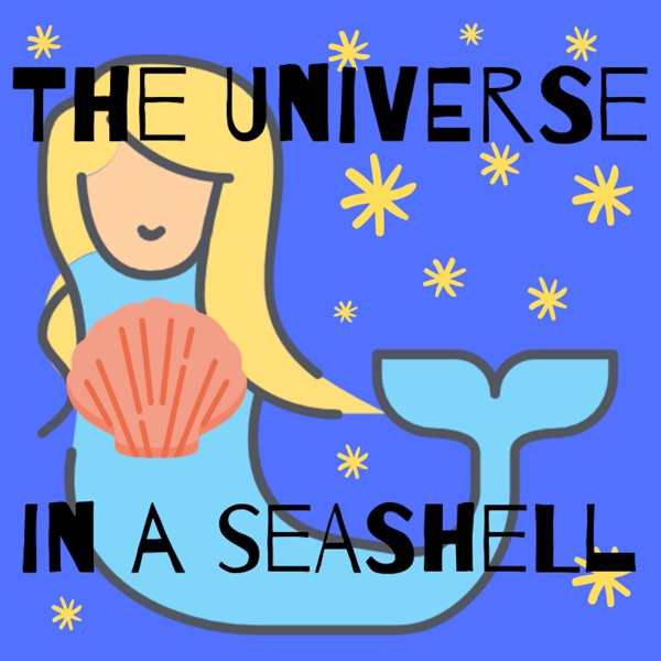 The Universe in a Seashell