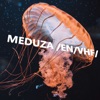 MEDUZA/EN/VHF artwork