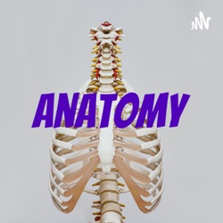 anatomy