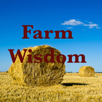 Farm Wisdom: 18. Saving the world from aliens and a very special invention