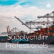 10 Supplychain Professionals Podcast Ayman Saber Oil & Gas practical insights