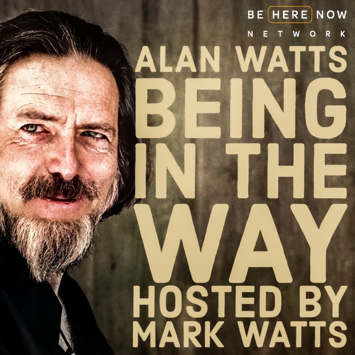 Alan Watts Being In The Way - Podcast – Podtail