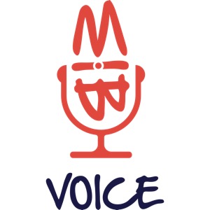 BIMvoice