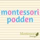 Ett samtal om Montessoriforskning