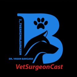 Episode 1: Cesarean Section in dogs and cats