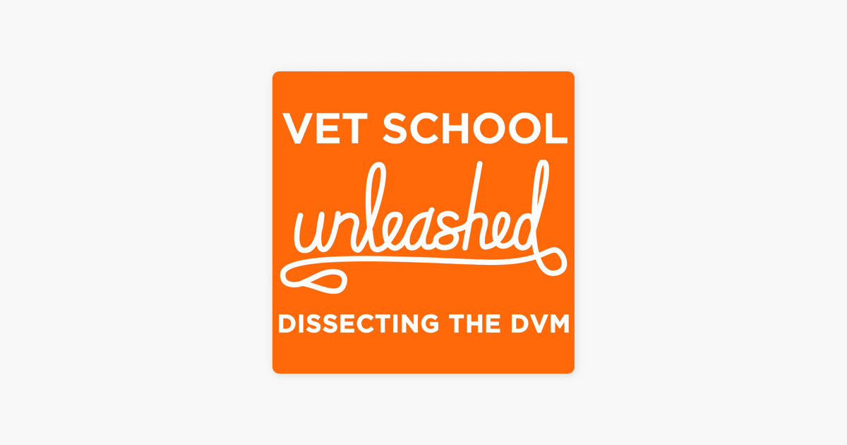 vet-school-unleashed-dissecting-the-dvm-talking-about-all-things