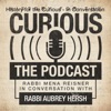 History for the Curious artwork