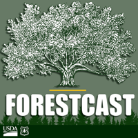 Forestcast podcast
