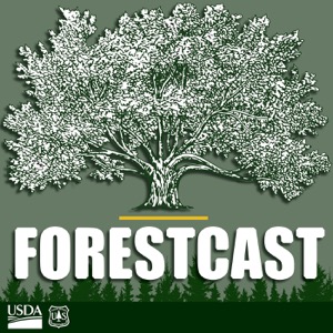 Forestcast