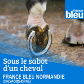 Sous le sabot d'un cheval - FB Normandie (Caen) - France Bleu