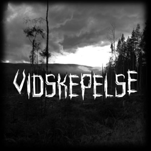 Vidskepelse