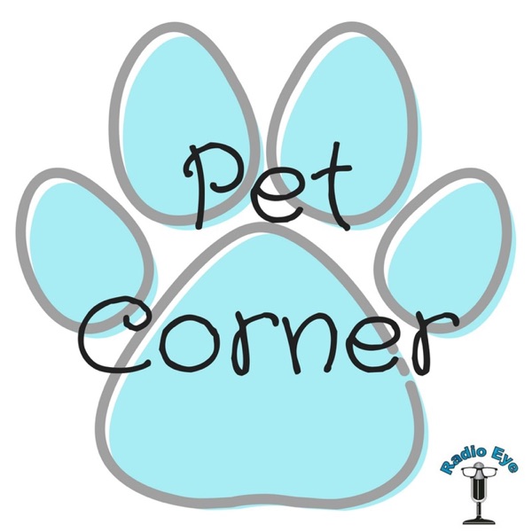 Pet Corner Artwork