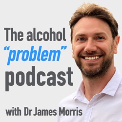 What is alcohol treatment? With Dr Luke Mitcheson & Dr Mike Kelleher