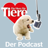 Ein Herz für Tiere - der Podcast - Manuela Bauer, Heike Reinhardt, Petra Schurer, Viktoria Schütze, Julia Kainz, Hot Summer Day - GEMAfreie Musik von https://audiohub.de
