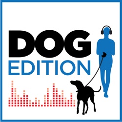 Dog Edition's Year in Review 2022 | Dog Edition #78