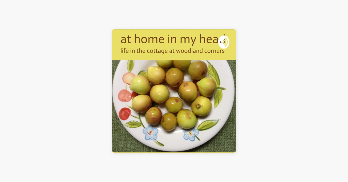 ‎at home in my head: The Definition of Racism and White ...