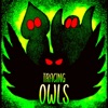 Tracing Owls artwork
