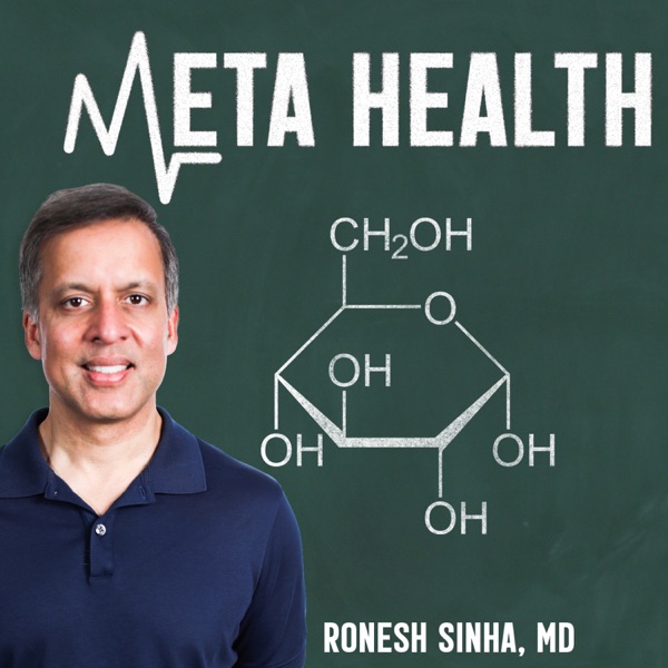 The Meta Health Podcast Artwork