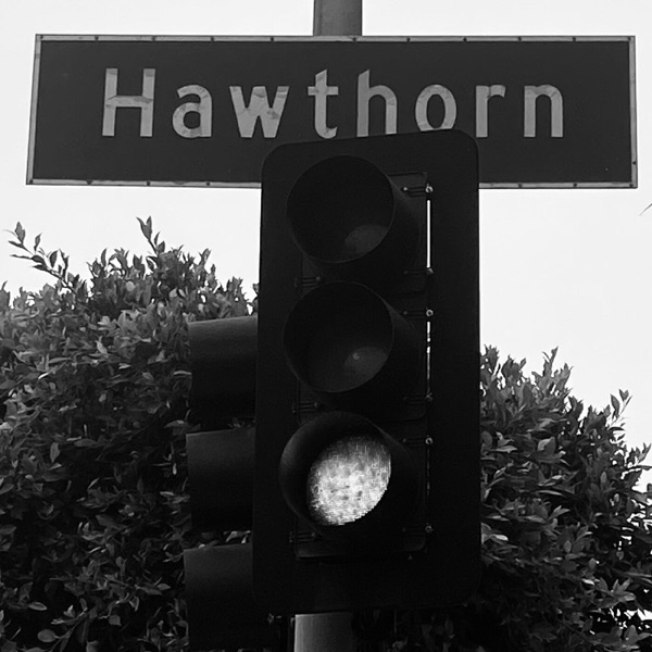 Hollywood On Hawthorn Artwork