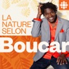 La nature selon Boucar