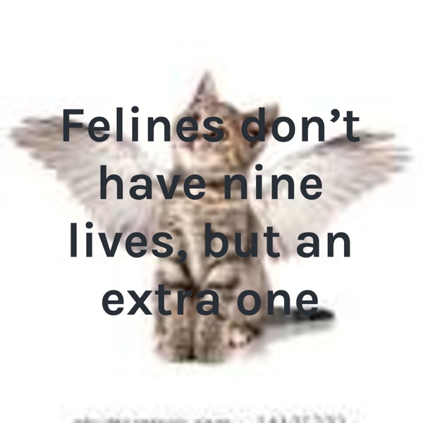 Felines don't have nine lives, but an extra one Artwork