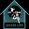 House life (how's life?) artwork