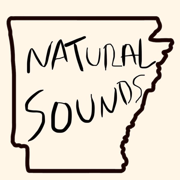 Natural Sounds Artwork