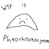 WTF is Pheochromocytoma artwork