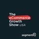 eCommerce in America according to Rick Watson - RW Consulting