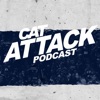 Cat Attack