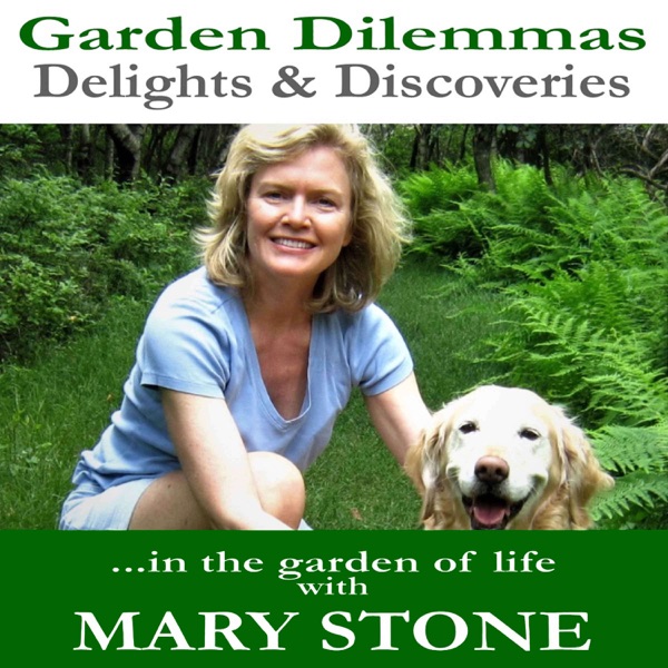 Garden Dilemmas, Delights & Discoveries Artwork