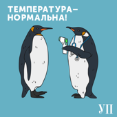 Температура – нормальна - Українська правда
