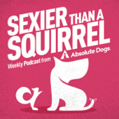 Sexier Than A Squirrel: Dog Training That Gets Real Life Results - absoluteDogs