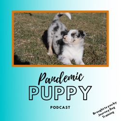 Pausing the Pandemic Puppy Podcast