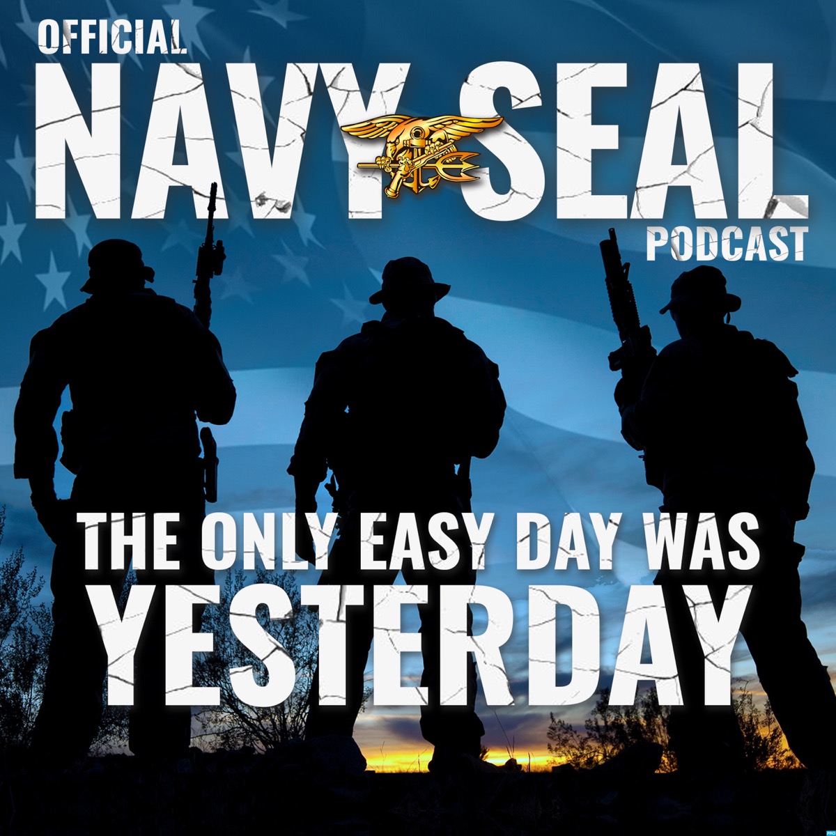 The Official Navy SEAL Podcast | Lyssna här | Poddtoppen.se