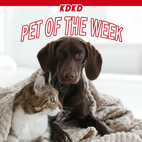 KDKD Pet of the Week Artwork