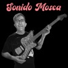 SONIDO MOSCA