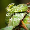 World’s greatest herps artwork